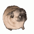 Collection uploader avatar