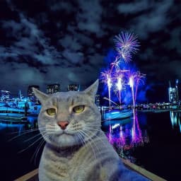 User profile picture