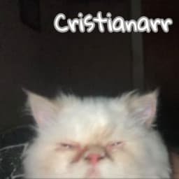 User profile picture