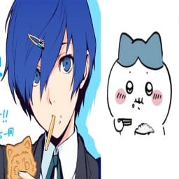 User profile picture