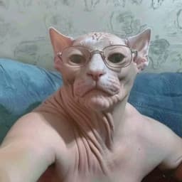 User profile picture