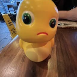 User profile picture
