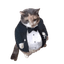 Collection uploader avatar