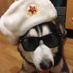User profile picture