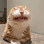 Collection uploader avatar