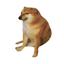 Collection uploader avatar