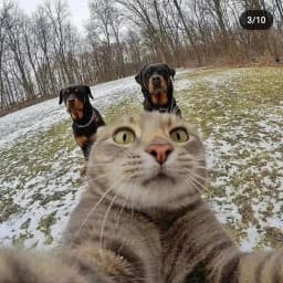 User profile picture