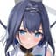 Collection uploader avatar