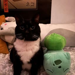 User profile picture