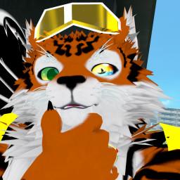 User profile picture