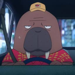 User profile picture