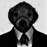 Collection uploader avatar