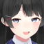 Collection uploader avatar