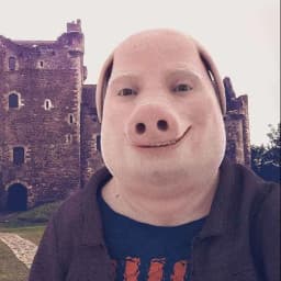 User profile picture