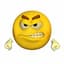 Collection uploader avatar