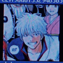 User profile picture