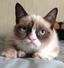 Collection uploader avatar