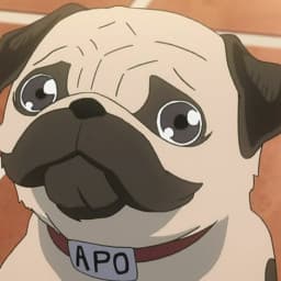 User profile picture