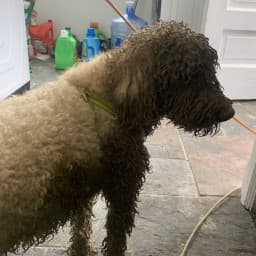 User profile picture