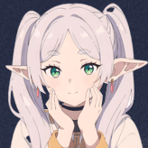 User profile picture