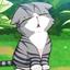 Collection uploader avatar