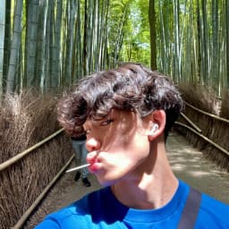 User profile picture
