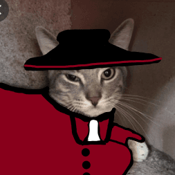 User profile picture