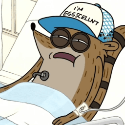 User profile picture