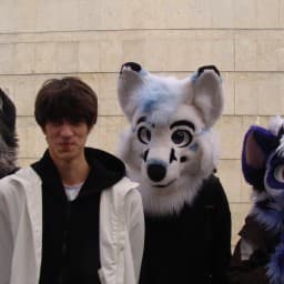 User profile picture