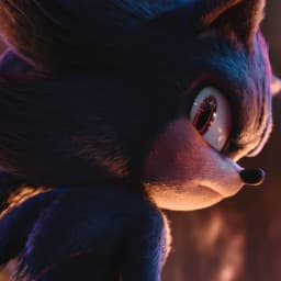 User profile picture