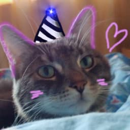 User profile picture