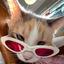 Collection uploader avatar