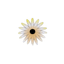 Collection uploader avatar