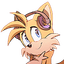 Collection uploader avatar