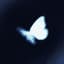 Collection uploader avatar
