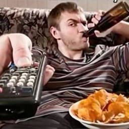 User profile picture