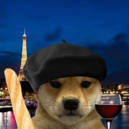 User profile picture
