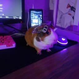 User profile picture