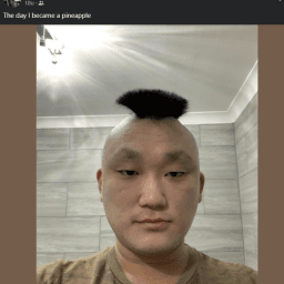 User profile picture
