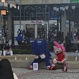 User profile picture