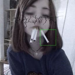 User profile picture