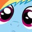 Collection uploader avatar