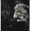 Collection uploader avatar