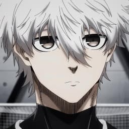 User profile picture