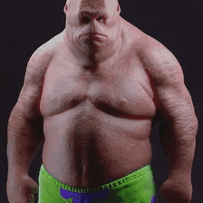 User profile picture
