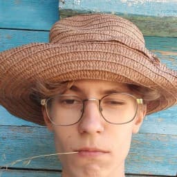 User profile picture