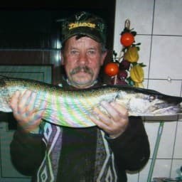 User profile picture