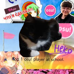 User profile picture