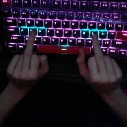 User profile picture