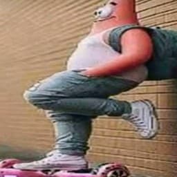 User profile picture